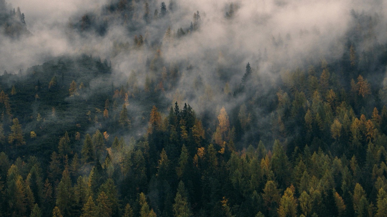 Foggy morning desktop wallpaper