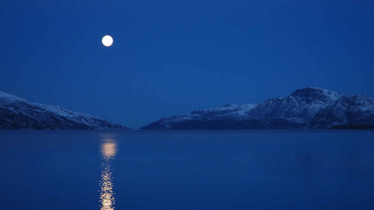 Moonlit night desktop wallpaper